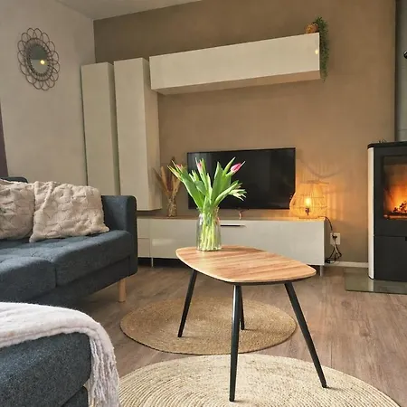 Cozy No 3 Wellness Hottub, Houtkachel En Airco Vakantiehuis
