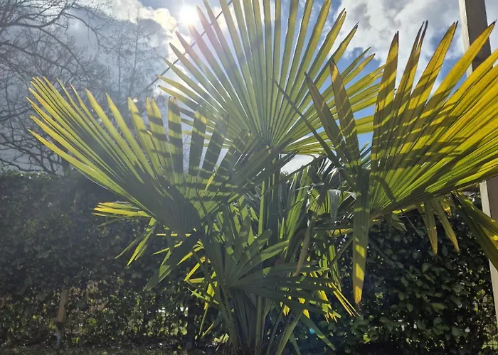 Cozy No 3 Wellness Hottub, Houtkachel En Airco Ewijk