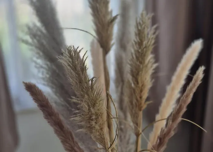 Cozy No 3 Wellness Hottub, Houtkachel En Airco Ewijk